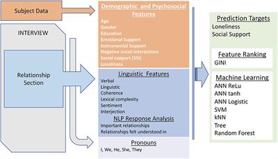 Do Words Matter? Detecting Social Isolation and Loneliness in Older Adults Using Natural Language Processing